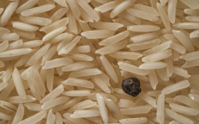 Business Model of an Auto Rice Mill and factors that affect the elasticity of demand for rice in Bangladesh